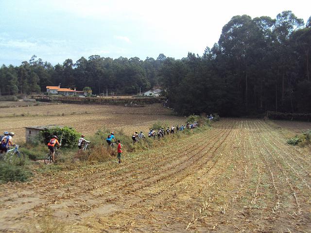 120- Adivinhem quem foi pelo campo de milho.JPG